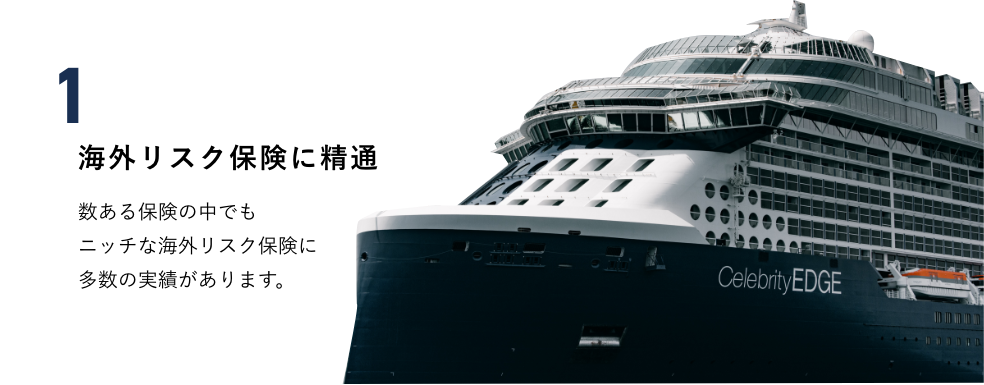 海外リスク保険に精通　数ある保険の中でもニッチな海外リスク保険に多数の実績があります。