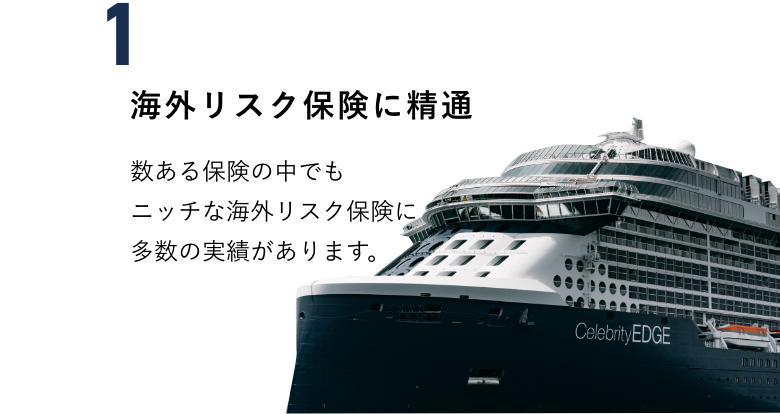 海外リスク保険に精通　数ある保険の中でもニッチな海外リスク保険に多数の実績があります。