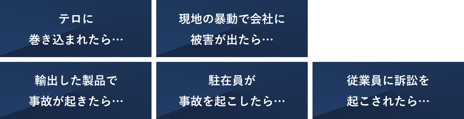 テロに巻き込まれたら　現地の暴動で会社に被害が出たら　輸出した製品で事故が起きたら　駐在員が事故を起こしたら　従業員に訴訟を起こされたら