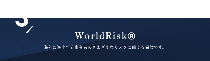 WorldRisk®︎　海外に進出する事業者のさまざまなリスクに備える保険です。