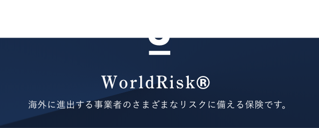 WorldRisk®︎　海外に進出する事業者のさまざまなリスクに備える保険です。